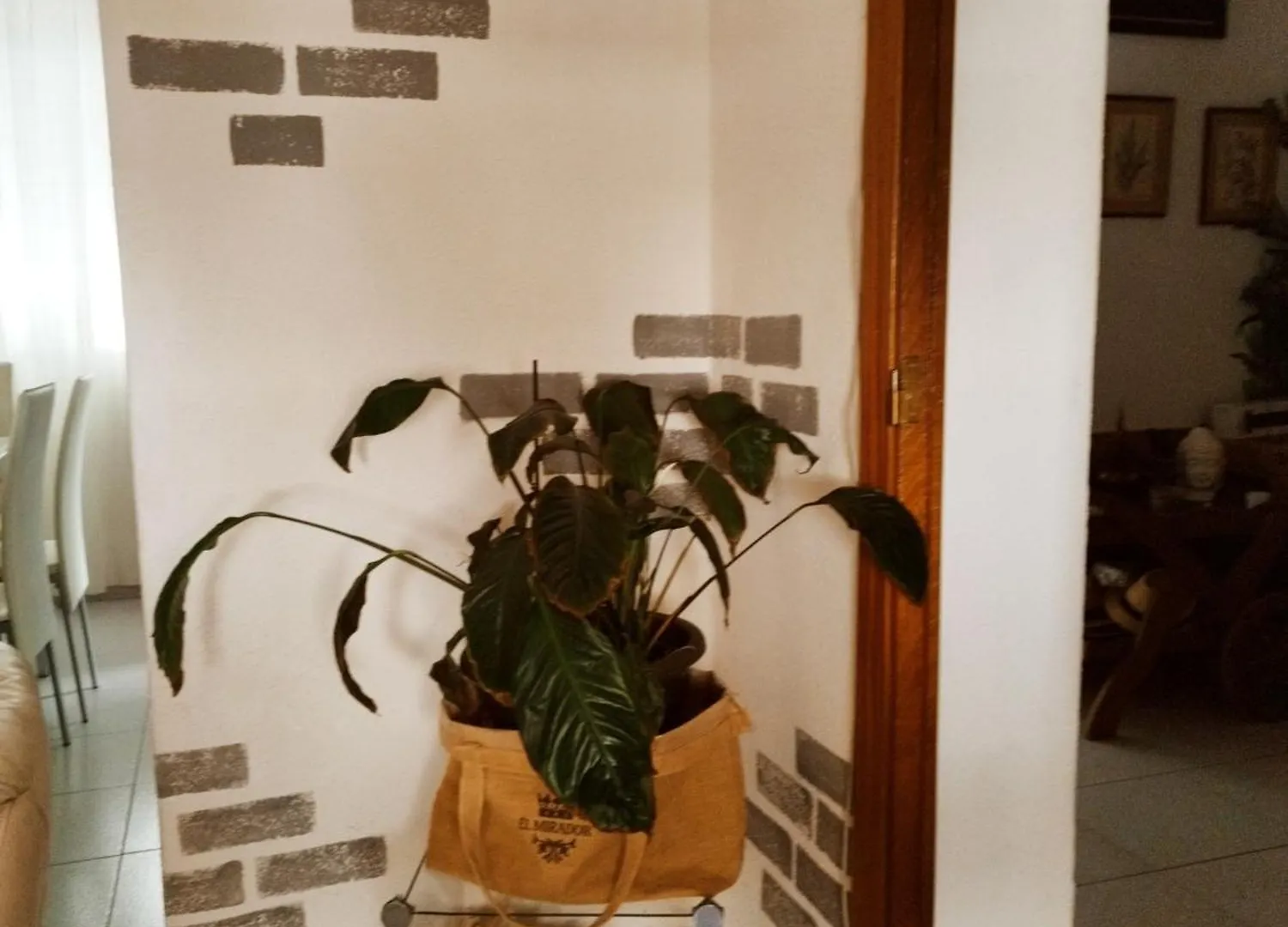 Guest house Casapatrizia Appartamento Compartido Santa Cruz de Tenerife Spain